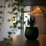 Spinola Duplex Penthouse Deluxe Saint Julian's